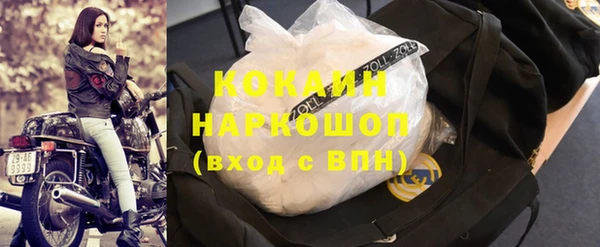 ешки Гусев