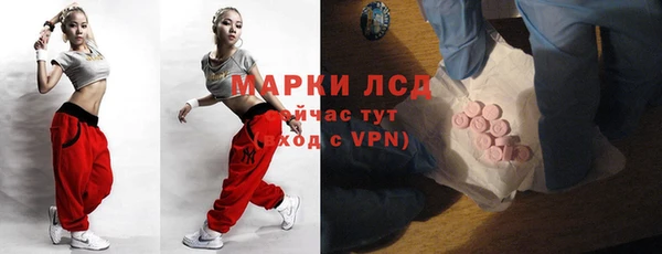 ПСИЛОЦИБИНОВЫЕ ГРИБЫ Гусь-Хрустальный