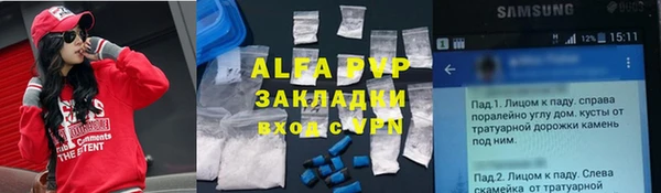ПСИЛОЦИБИНОВЫЕ ГРИБЫ Гусь-Хрустальный