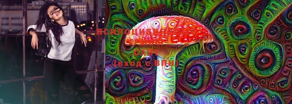 ПСИЛОЦИБИНОВЫЕ ГРИБЫ Гусь-Хрустальный