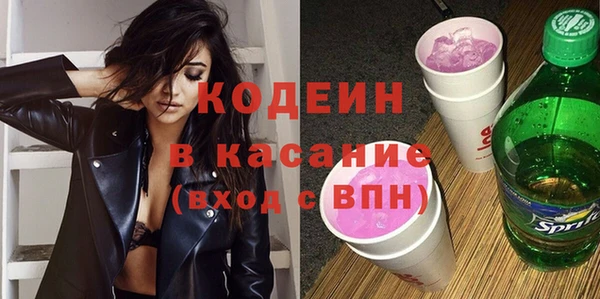 ПСИЛОЦИБИНОВЫЕ ГРИБЫ Гусь-Хрустальный