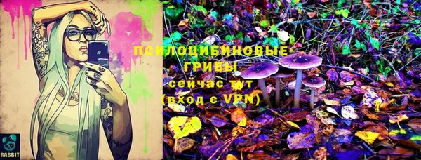 мескалин Гусиноозёрск