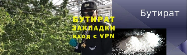 ПСИЛОЦИБИНОВЫЕ ГРИБЫ Гусь-Хрустальный